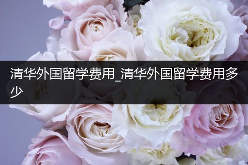 清华外国留学费用_清华外国留学费用多少