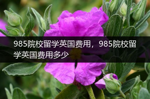 985院校留学英国费用，985院校留学英国费用多少