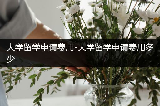 大学留学申请费用-大学留学申请费用多少