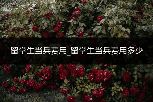 留学生当兵费用_留学生当兵费用多少