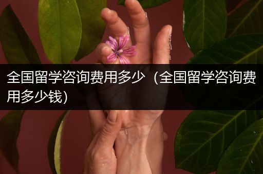 全国留学咨询费用多少（全国留学咨询费用多少钱）