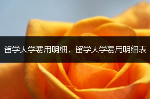 留学大学费用明细，留学大学费用明细表