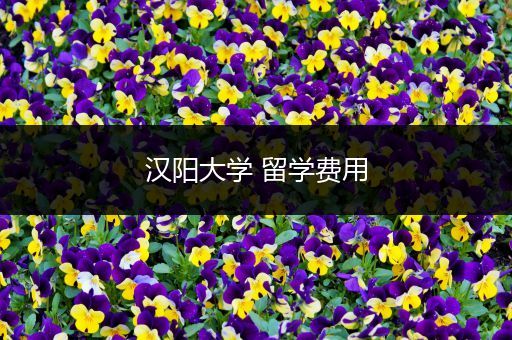 汉阳大学 留学费用