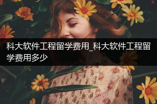 科大软件工程留学费用_科大软件工程留学费用多少