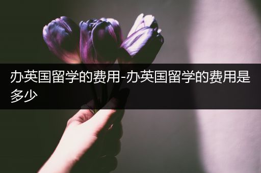 办英国留学的费用-办英国留学的费用是多少