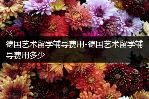 德国艺术留学辅导费用-德国艺术留学辅导费用多少