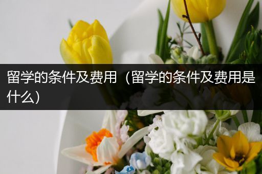 留学的条件及费用（留学的条件及费用是什么）