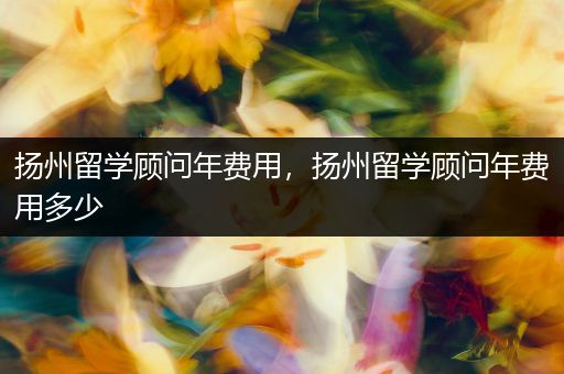 扬州留学顾问年费用，扬州留学顾问年费用多少