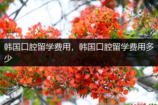 韩国口腔留学费用，韩国口腔留学费用多少