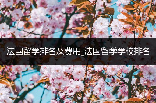 法国留学排名及费用_法国留学学校排名
