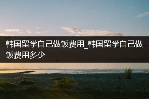 韩国留学自己做饭费用_韩国留学自己做饭费用多少