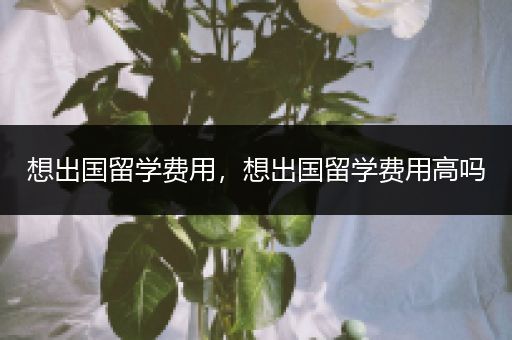 想出国留学费用，想出国留学费用高吗