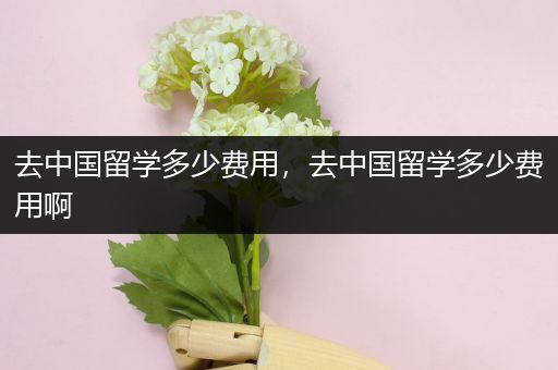 去中国留学多少费用，去中国留学多少费用啊