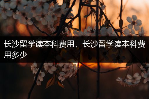 长沙留学读本科费用，长沙留学读本科费用多少