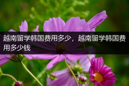 越南留学韩国费用多少，越南留学韩国费用多少钱