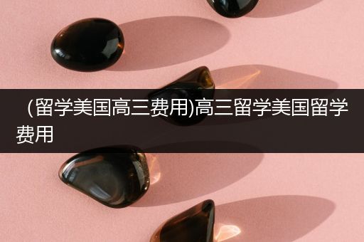 （留学美国高三费用)高三留学美国留学费用