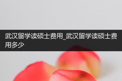 武汉留学读硕士费用_武汉留学读硕士费用多少