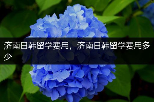 济南日韩留学费用，济南日韩留学费用多少