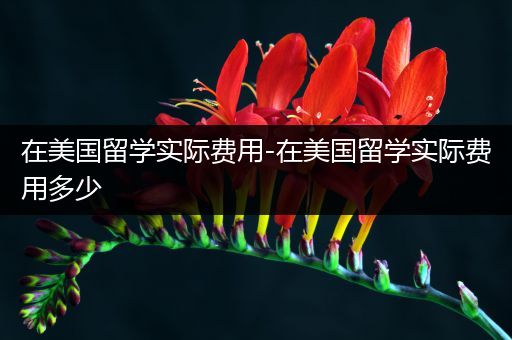 在美国留学实际费用-在美国留学实际费用多少