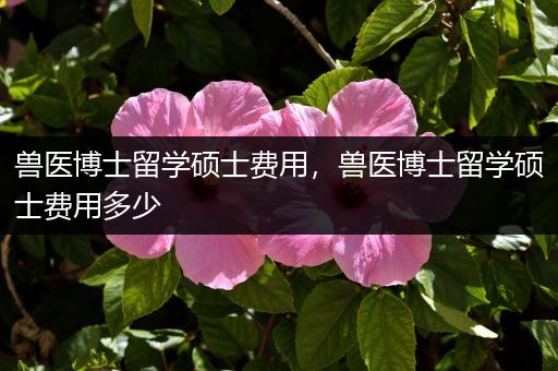 兽医博士留学硕士费用，兽医博士留学硕士费用多少