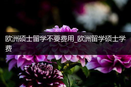 欧洲硕士留学不要费用_欧洲留学硕士学费