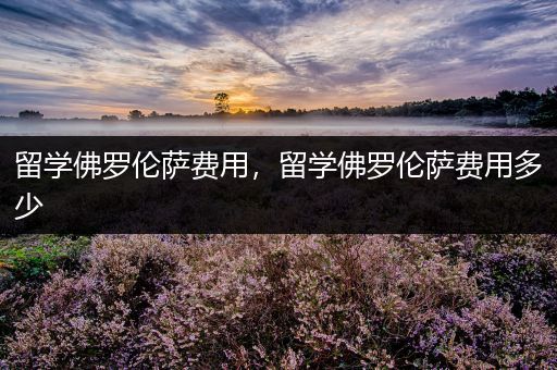 留学佛罗伦萨费用，留学佛罗伦萨费用多少
