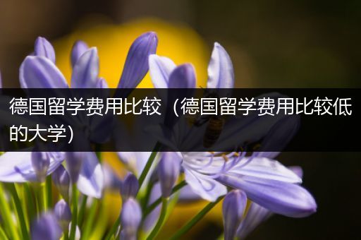 德国留学费用比较（德国留学费用比较低的大学）