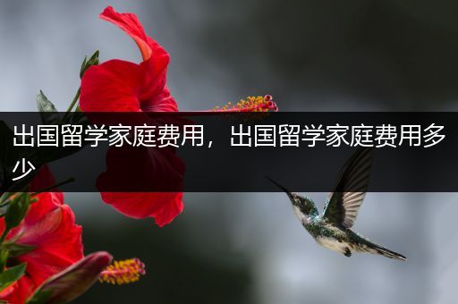 出国留学家庭费用，出国留学家庭费用多少