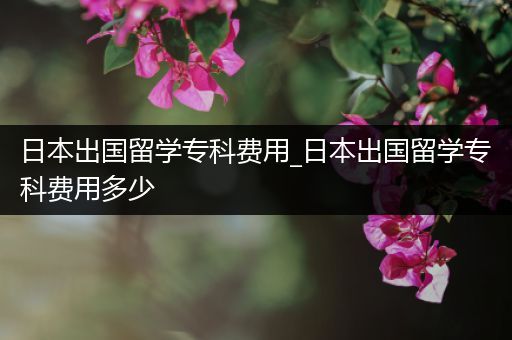 日本出国留学专科费用_日本出国留学专科费用多少