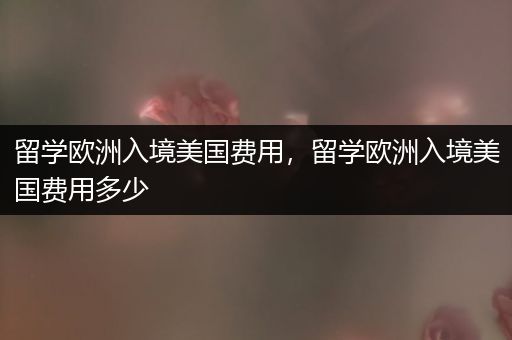 留学欧洲入境美国费用，留学欧洲入境美国费用多少