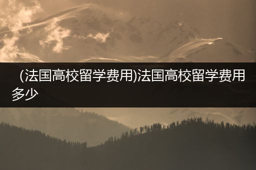（法国高校留学费用)法国高校留学费用多少