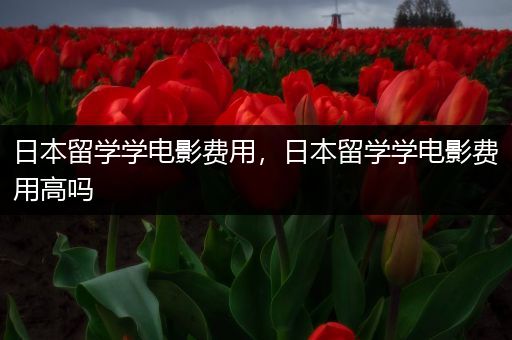 日本留学学电影费用，日本留学学电影费用高吗