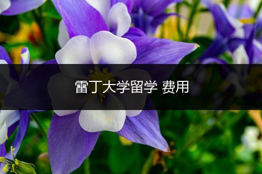 雷丁大学留学 费用