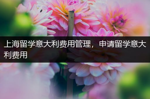 上海留学意大利费用管理，申请留学意大利费用