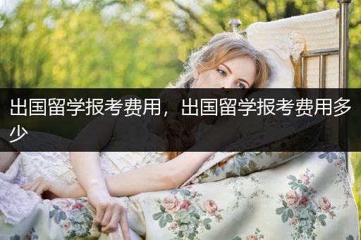 出国留学报考费用，出国留学报考费用多少