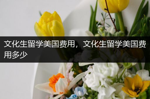 文化生留学美国费用，文化生留学美国费用多少