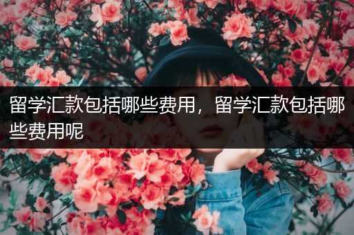 留学汇款包括哪些费用，留学汇款包括哪些费用呢