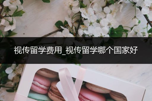 视传留学费用_视传留学哪个国家好