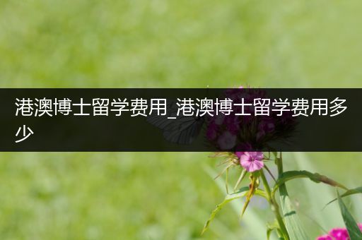 港澳博士留学费用_港澳博士留学费用多少