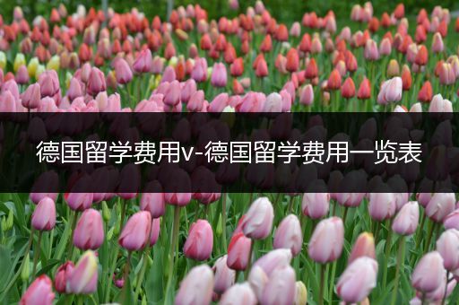 德国留学费用v-德国留学费用一览表
