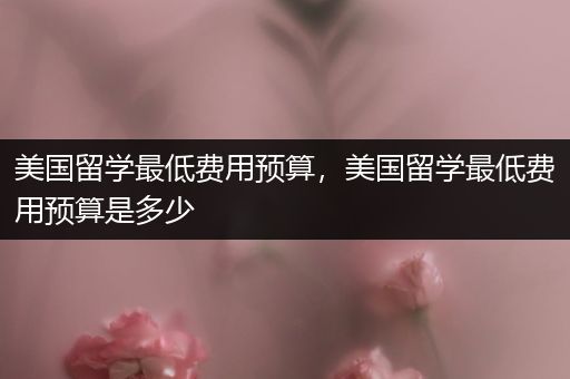 美国留学最低费用预算，美国留学最低费用预算是多少