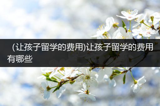 （让孩子留学的费用)让孩子留学的费用有哪些