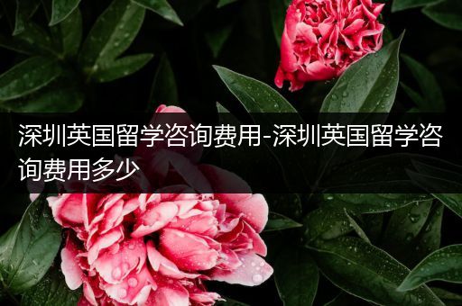 深圳英国留学咨询费用-深圳英国留学咨询费用多少
