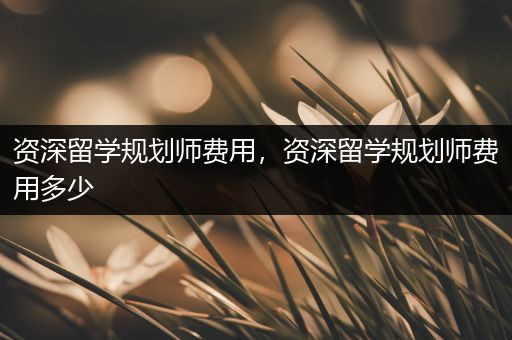 资深留学规划师费用，资深留学规划师费用多少