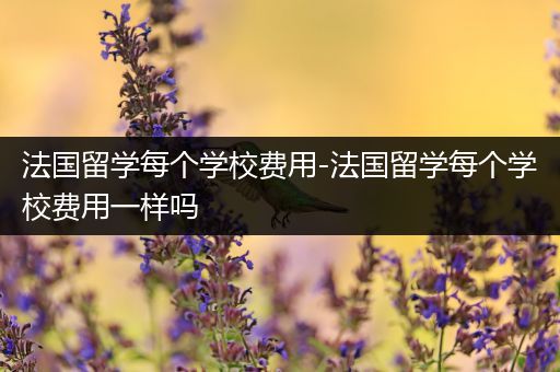 法国留学每个学校费用-法国留学每个学校费用一样吗