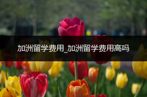 加洲留学费用_加洲留学费用高吗