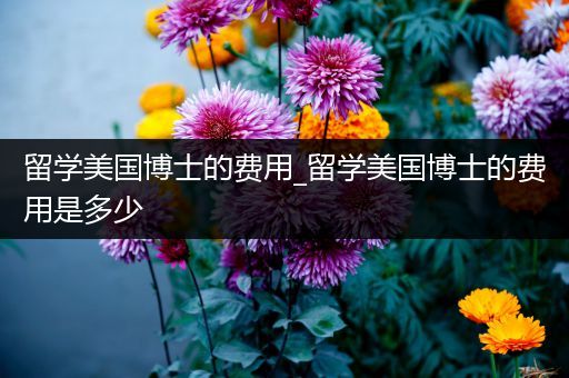 留学美国博士的费用_留学美国博士的费用是多少
