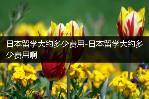 日本留学大约多少费用-日本留学大约多少费用啊