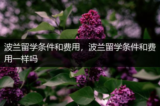波兰留学条件和费用，波兰留学条件和费用一样吗