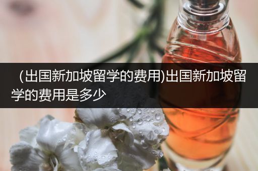 （出国新加坡留学的费用)出国新加坡留学的费用是多少